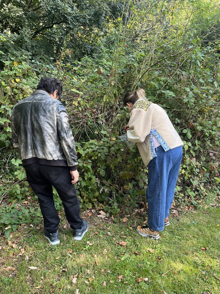 JacqAtkinson's tweet photo. What an ‘Epic’ morning at Holy Saviour, Sugley…we had a community blackberry picking, we made overnight oats with our fruit (and a little extra from supermarket!) great visit from Chi Onwurah our MP … tea/coffee and wonderful conversations, what’s not to like! Blessed! https://t.co/F5vM8a5osD