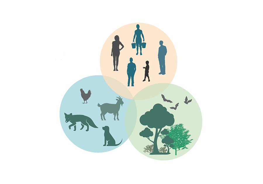 Michigan Center for Rural Health (@mcrh_91) on Twitter photo Register for next Tuesday's <a href="/PublicHPrepared/">Public Health Prepared</a>
One Health ECHO session from 12 to 1 PM EST.
This session will explore blastomycosis and climate change.
Register here: mcrh.msu.edu/education/proj… Register for next Tuesday's <a href="/PublicHPrepared/">Public Health Prepared</a>
One Health ECHO session from 12 to 1 PM EST.
This session will explore blastomycosis and climate change.
Register here: mcrh.msu.edu/education/proj…