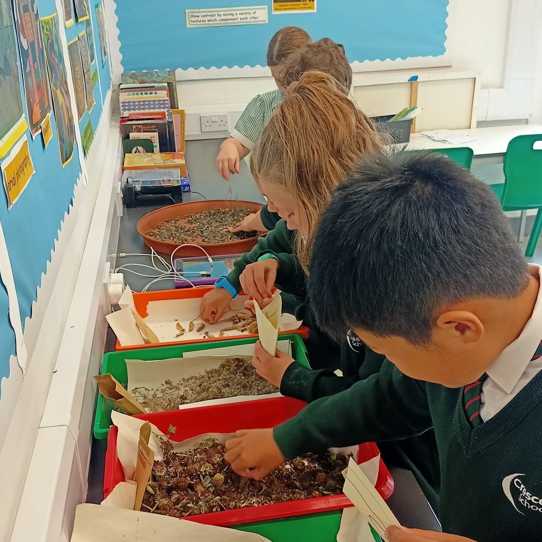 CrescentSchRug's tweet image. Children from Year 5 enjoyed Nature Craft Club this lunchtime. Some will be taken home for their own gardens, while lots more packets will be kept in school ready to sow next Spring!
#crescentschool #year5 #naturecraft
