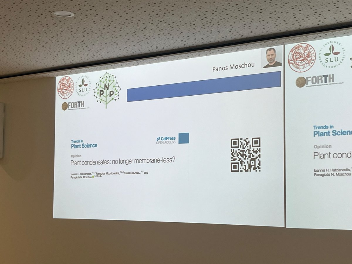 Hugues Renault (@huguesrenault.bsky.social) (@metabevo) on Twitter photo Invited speaker Panagiotis Moschou <a href="/Panosmoschou/">PanosMoschou (PM)</a> shares with us a great deal of plant condensate science 👍🏻 #pnp2024 Invited speaker Panagiotis Moschou <a href="/Panosmoschou/">PanosMoschou (PM)</a> shares with us a great deal of plant condensate science 👍🏻 #pnp2024