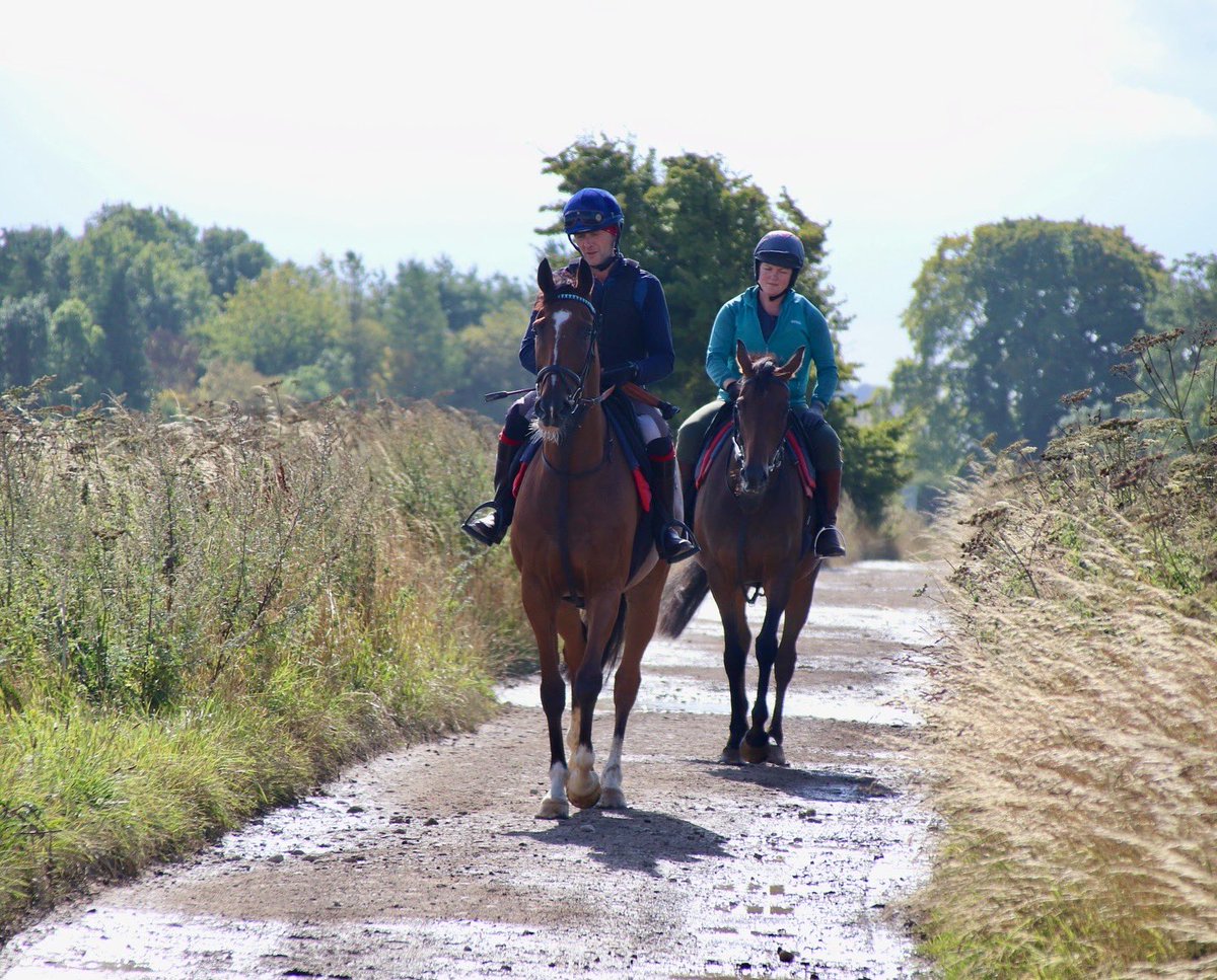 Delighted to see HANDLETHEKETTLE winning this week <a href="/WorcesterRaces/">Worcester Racecourse</a> for <a href="/jamiesnowden/">Jamie Snowden</a> and <a href="/Racingclubvip/">Racing Club</a> 🙌🏆🥇
Pictured here in pre-training at Hill Barn this summer 🏇
#theperfectprep #teamwork #producingwinners #results #pretraining #earlyeducation #takethelead #HWR