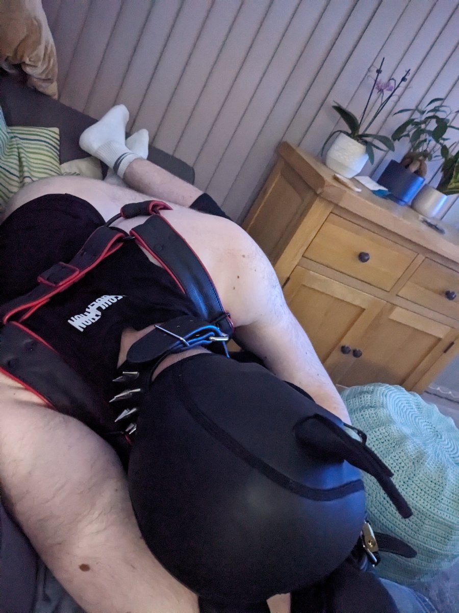 I need to spend a day as a pup more often 🥰