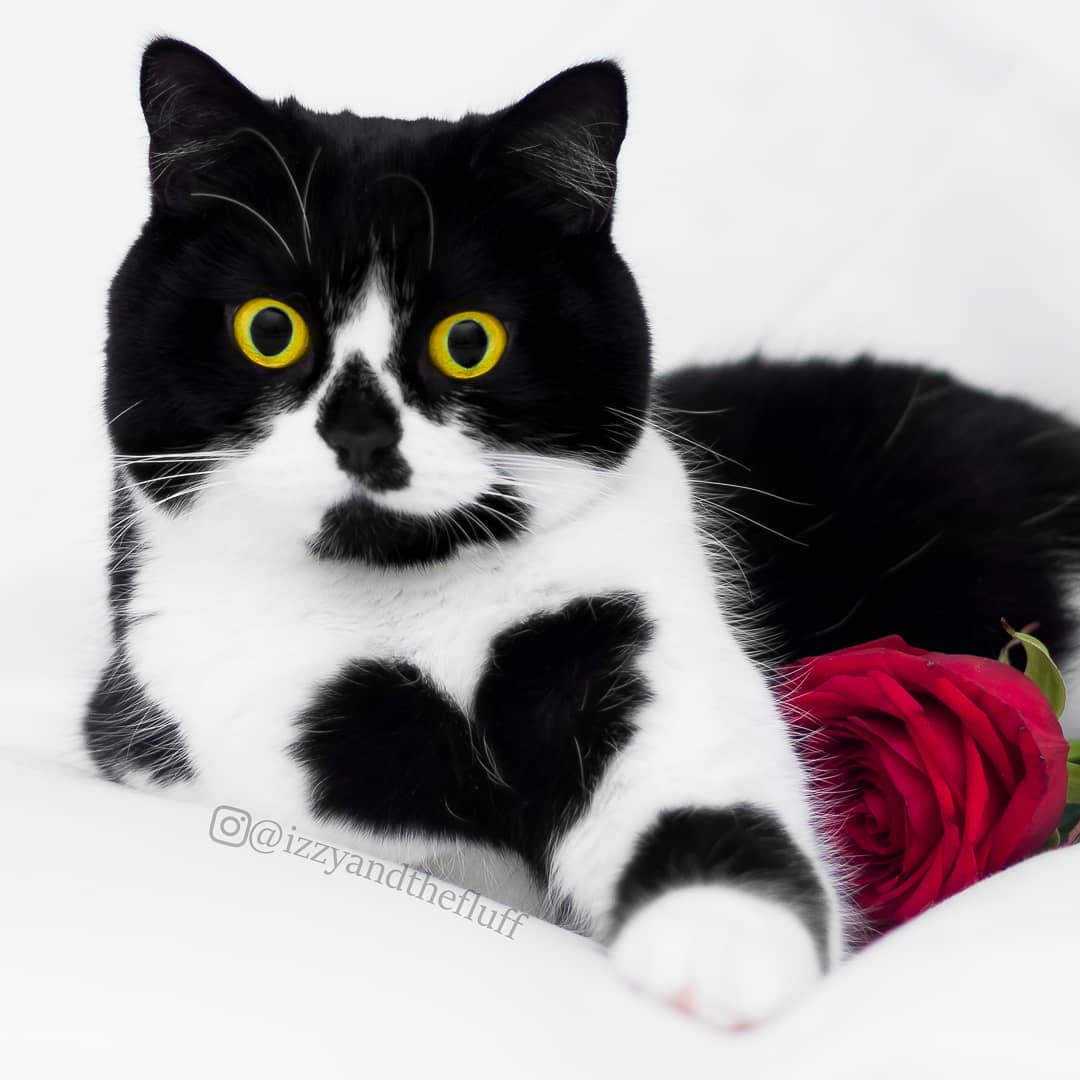 We are live and $ HEART is beating!

CA
4PktBf5snExUyxZr38i5aupto8ZxkKirHCgKz6poGkN7