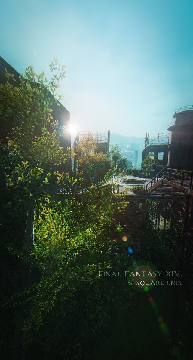sie0w0's tweet photo. 復帰してからずっと、巡る旅をしている。
おはよう、良い一日を。
#FF14 #FF14風景 #ffxivsnaps https://t.co/3Taiv055iV