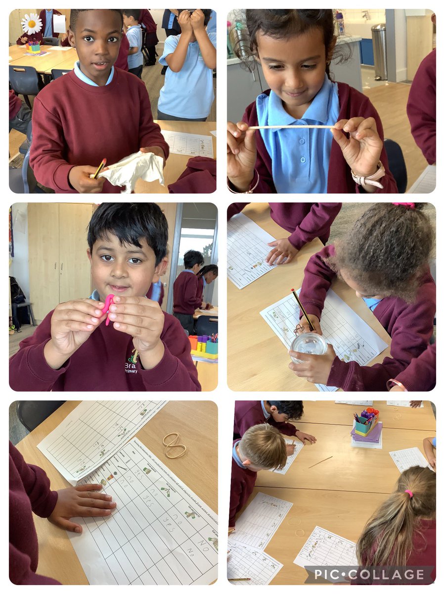 BramblesWillow tweet media