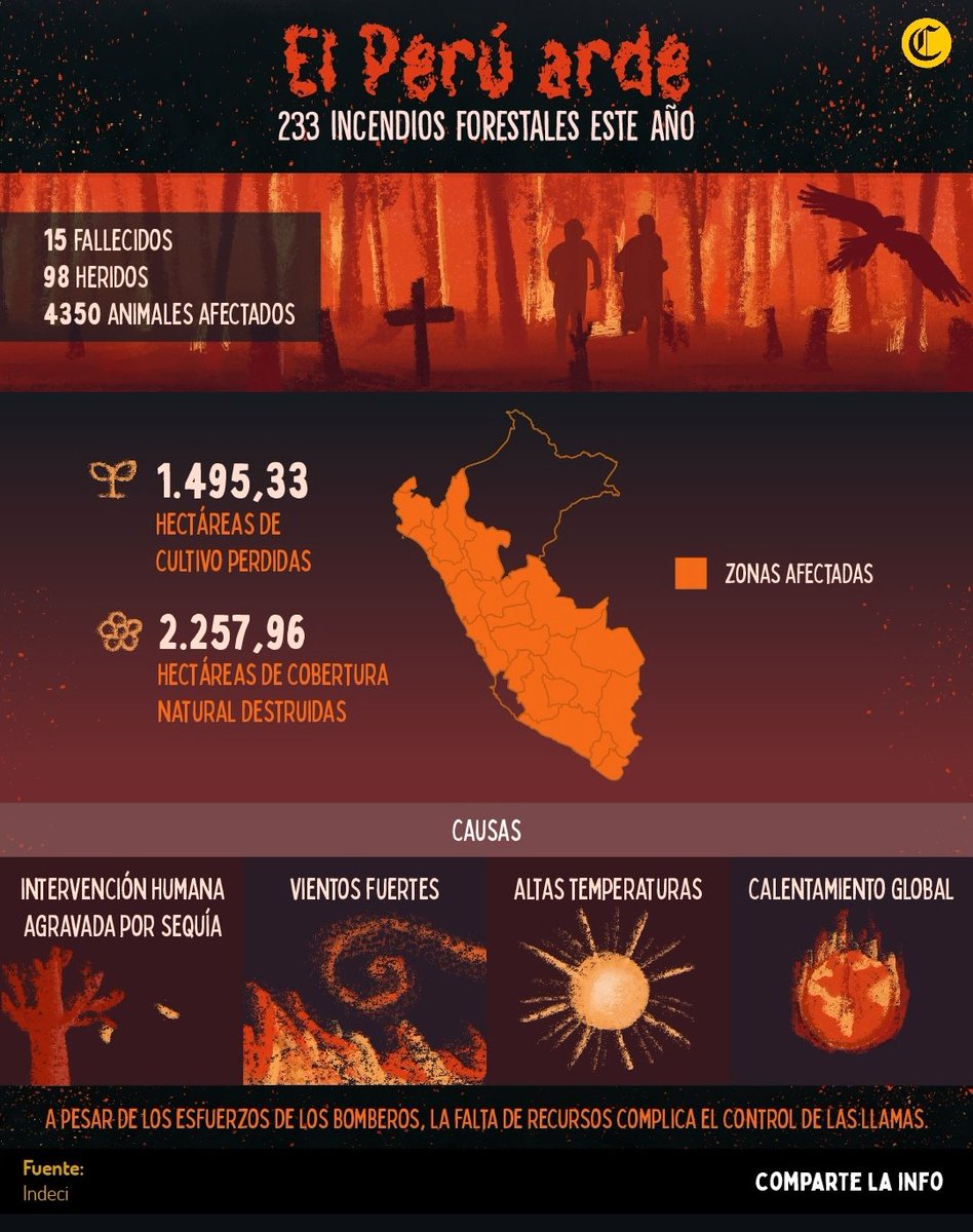 Chest00's tweet photo. Perú lleva ardiendo hace más de 15 días, llevándose consigo a animales prácticamente calcinados y personas que intentan apaciguar el fuego ante la indiferencia del Gobierno, Machu Picchu amaneciendo con el cielo gris, por favor difundamos #Amazonas #PeruArde https://t.co/mK3kckUYUK