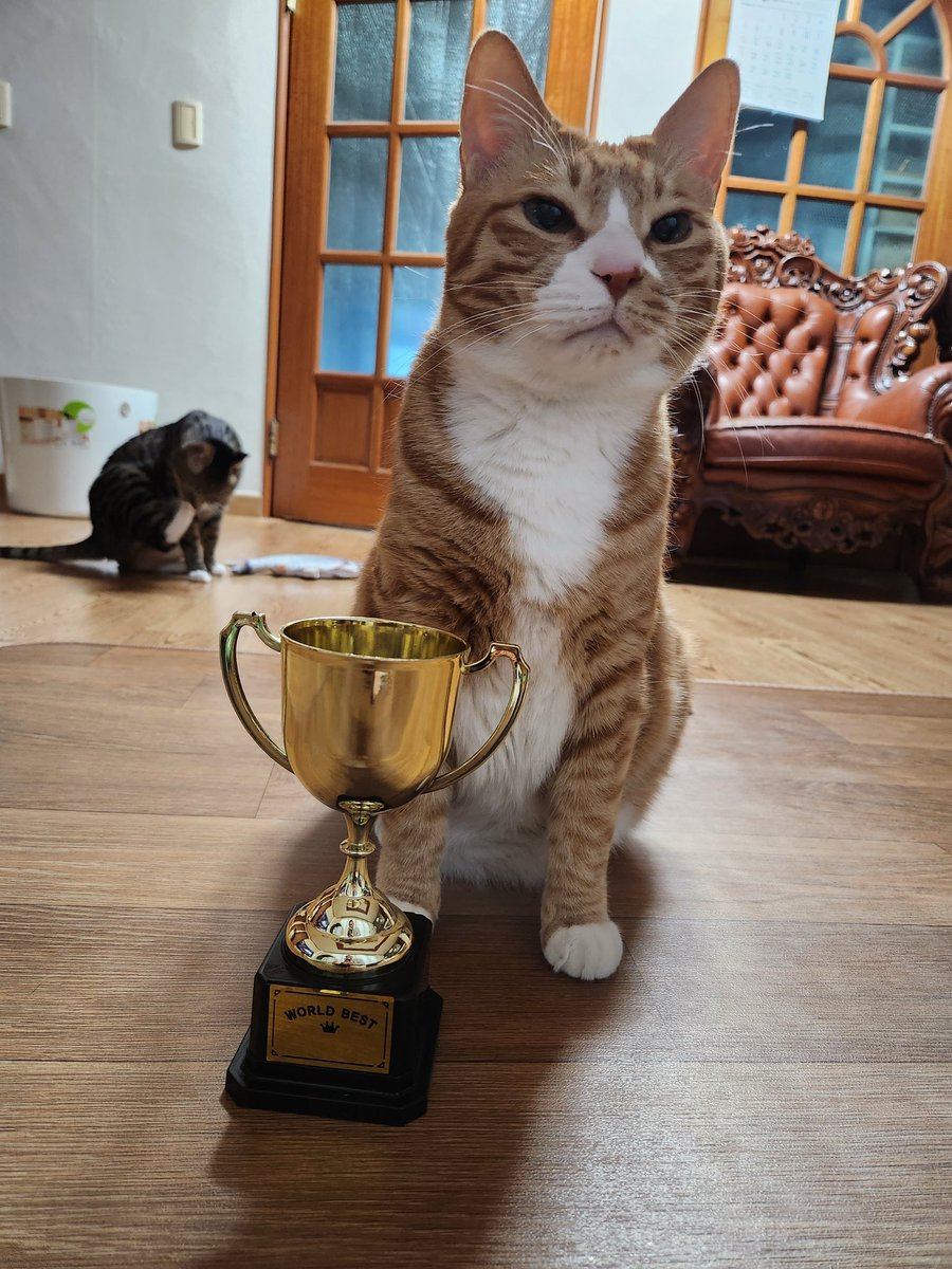 666rachaaa's tweet photo. @PunchingCat HIS NAME IS SOONIE😻 https://t.co/Gc0Ub4EVo8