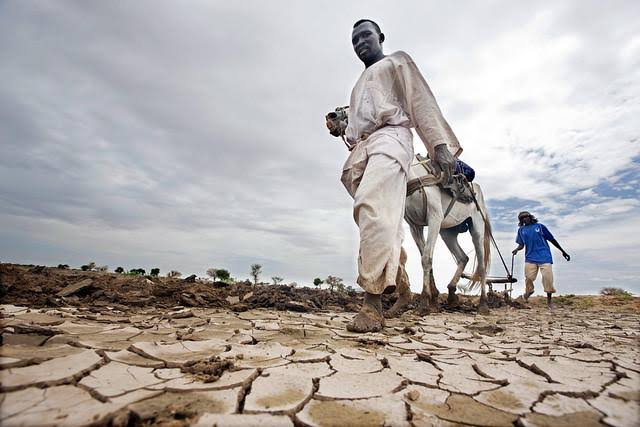 maryameqan's tweet photo. Did you know Indigenous communities protect 80% of the world's biodiversity, yet they are some of the most affected by climate change? Now you know, so start taking action! #IndigenousRights #ClimateCrisis https://t.co/aoFM7X3XOB
