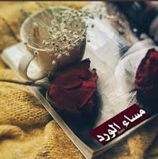 مسا الورد
بكل ما تحوي
أجواء المساء من رقة .🥀

#مساء_الخير