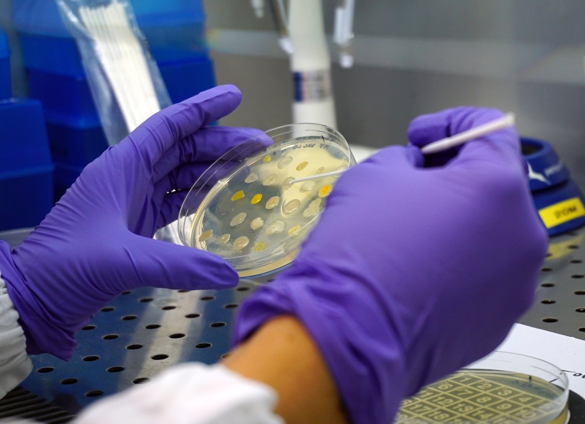 EU HERA (@ec_hera) on Twitter photo Tuberculosis is still global health threat. We're strengthening our response by speeding up development of & access to medicines through #EU4Health with @HaDEA_EU & <a href="/EMA_News/">EU Medicines Agency</a>: 
📌Funding MTBVAC vaccine development
📌 €5M for child-friendly TB medicines.
lnkd.in/gY_FkFSb Tuberculosis is still global health threat. We're strengthening our response by speeding up development of & access to medicines through #EU4Health with @HaDEA_EU & <a href="/EMA_News/">EU Medicines Agency</a>: 
📌Funding MTBVAC vaccine development
📌 €5M for child-friendly TB medicines.
lnkd.in/gY_FkFSb