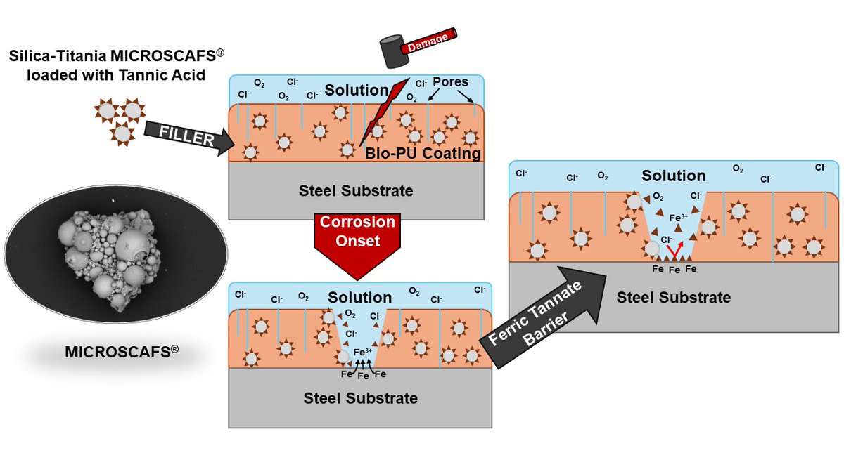 We're exploring the use of biobased polyols, derived from low-value plant biomass, to create green polyurethane (PU) coatings for protecting steel surfaces from corrosion: doi.org/10.3390/polym1…

#Research #GreenChemistry #Polyurethane #CorrosionProtection #SustainableMaterials