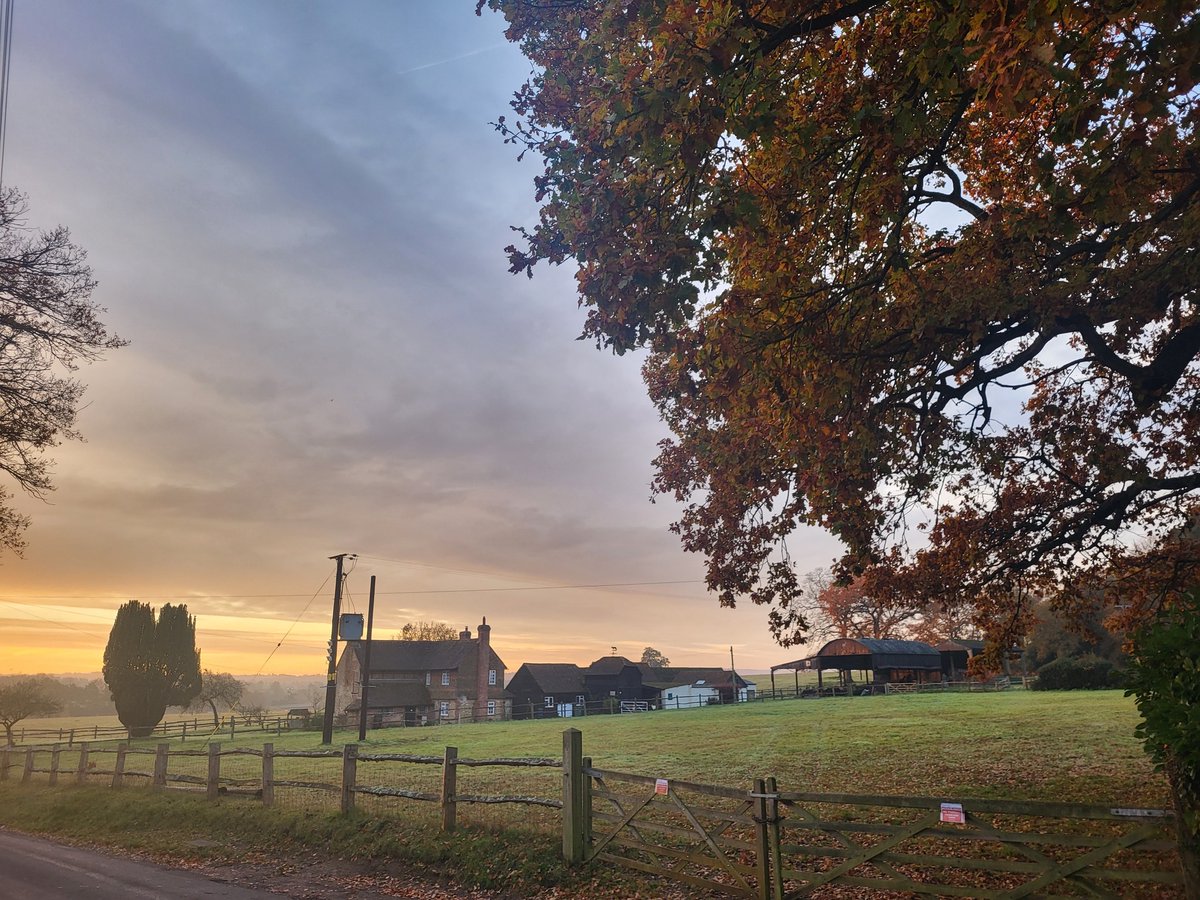 StMarys_Infants's tweet photo. Please feel free to visit our school,  St Mary’s C of E School in Shackleford on our open morning!

Wednesday 25th September 2025 at 9:15am  

For more information or to book a place, please contact us on: 
01483 414749
stmoffice@thesof.org.uk https://t.co/HdFWiX8IVk