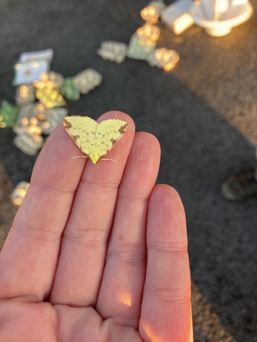 Eileen Dillane tweet media