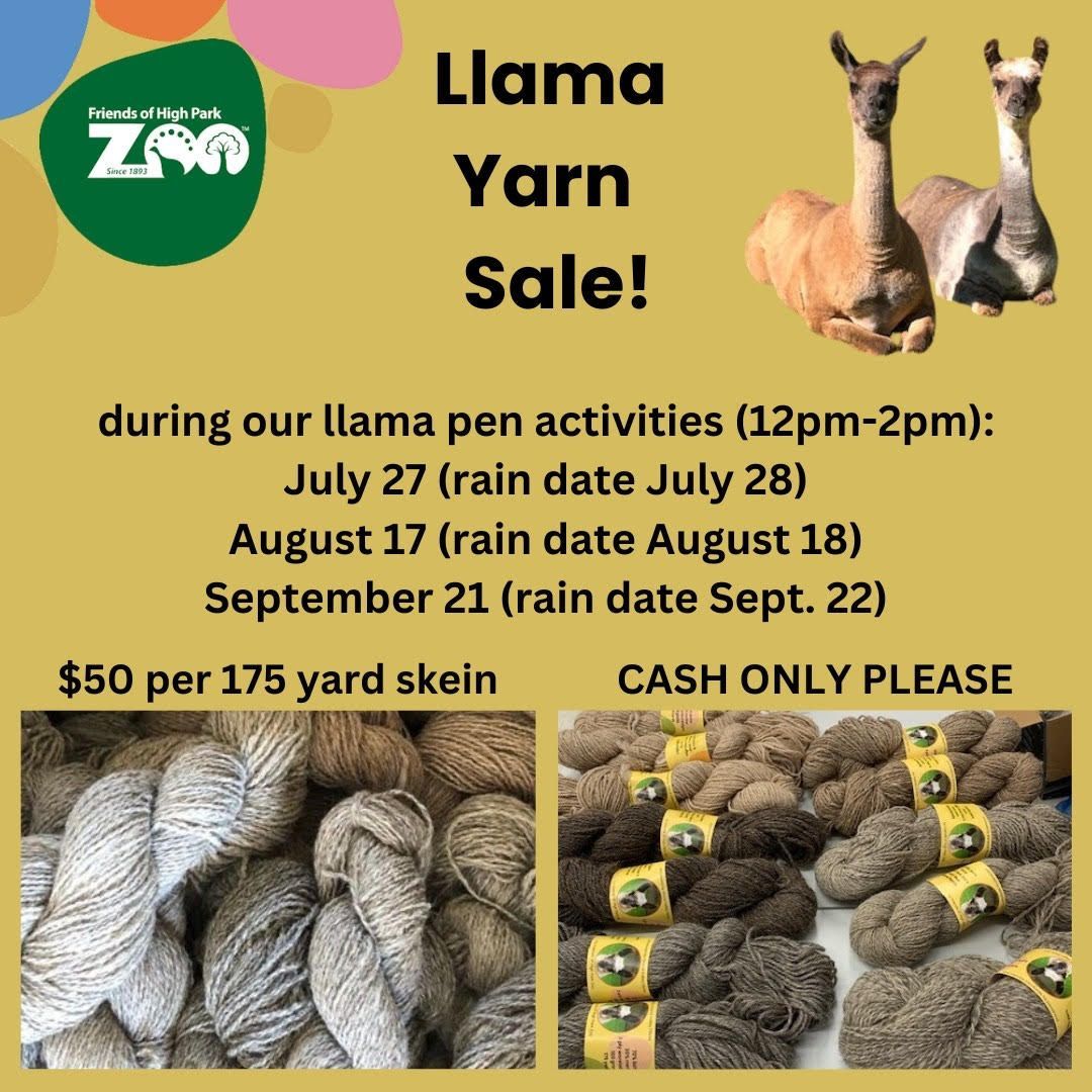 HighParkZoo's tweet image. Join us this weekend at High Park Zoo to purchase yarn made from the wool of our very own llamas!

#llama #llamawool #llamasale #uniquegift #knitter #knittersto #highpark #highparkzoo