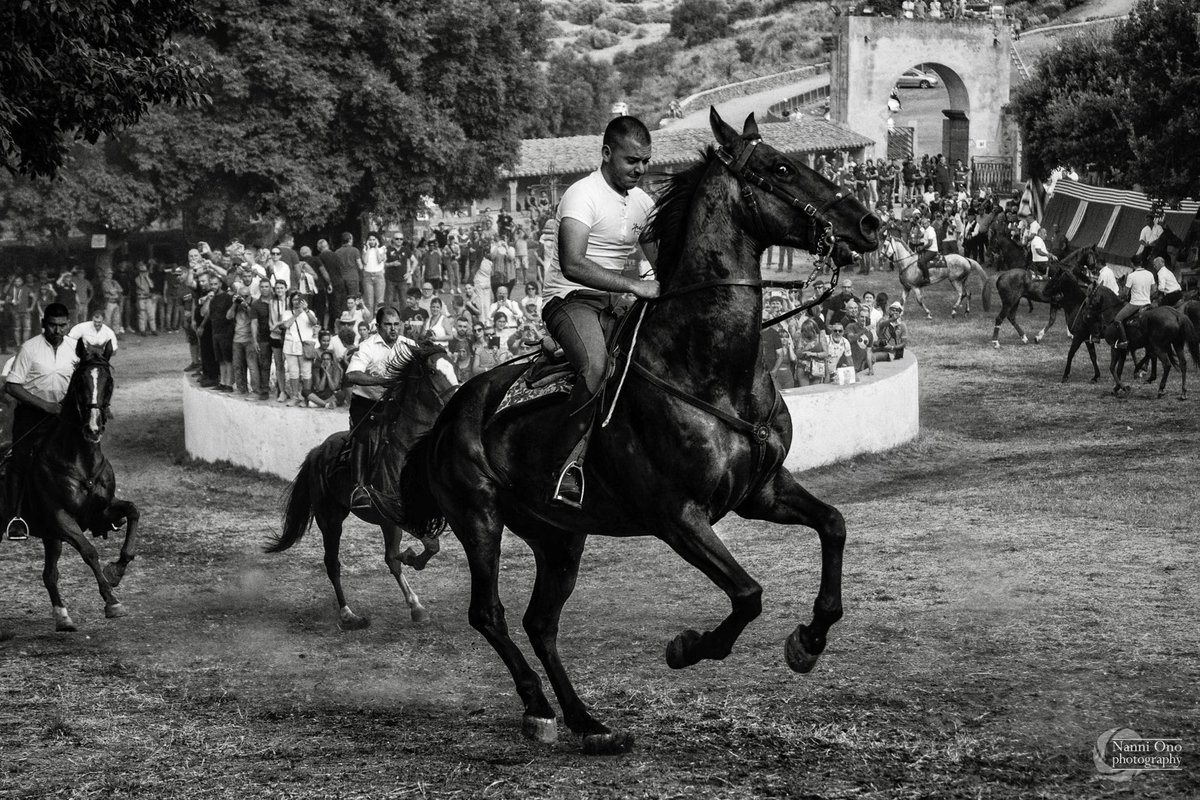 OnoNanni's tweet photo. Cultura e tradizioni. #italy #sardinia #barbagia #sedilo #photography #horse #cavallo #cultura #tradizione #photographer #tradizione #festa #celebration #sardegna #isola #corsa #equitazione #popolare https://t.co/puhrKpnNGi
