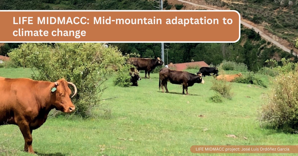 🏞️Climate change is hitting Mediterranean mid-mountain areas hard: less water, more droughts, and increased fire risks.

The LIFE MIDMACC project is tackling these challenges with innovative adaptation strategies in 3 key areas south of the Pyrenees.

🔗adaptationataltitude.org/knowledge-base…