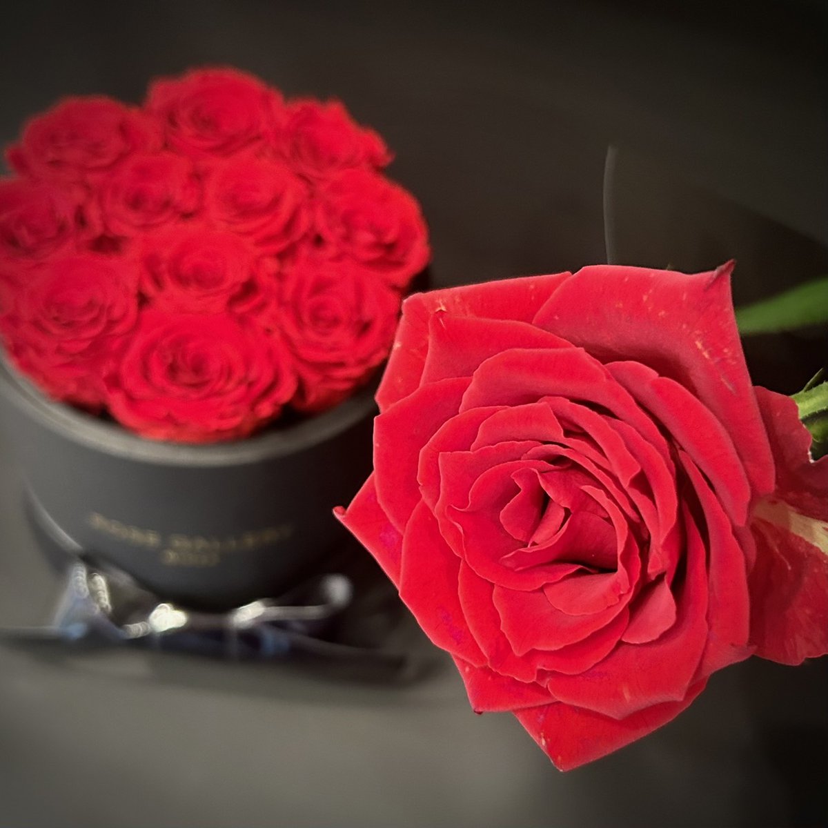 その他 Rose gallery ローズギャラリー銀座 オンラインショップ