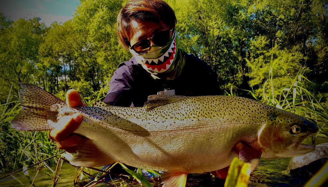 310civic's tweet image. 先週の出張虹鱒。

#shimano
#simms