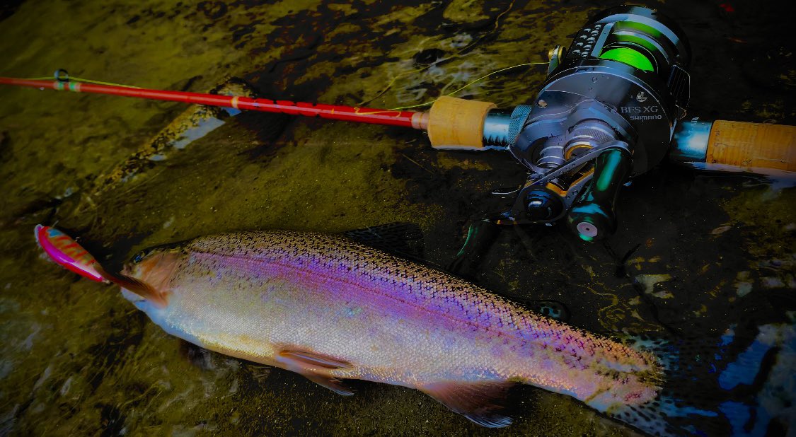 310civic's tweet image. 先週の出張虹鱒。

#shimano
#simms