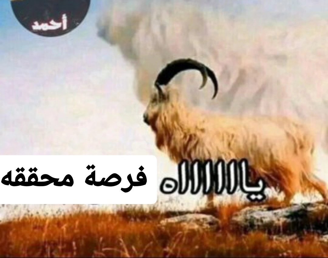 ModricBdr's tweet photo. رونالدو 2008 اذا جاه فاول بنص الملعب https://t.co/H5ZUHI4V6W