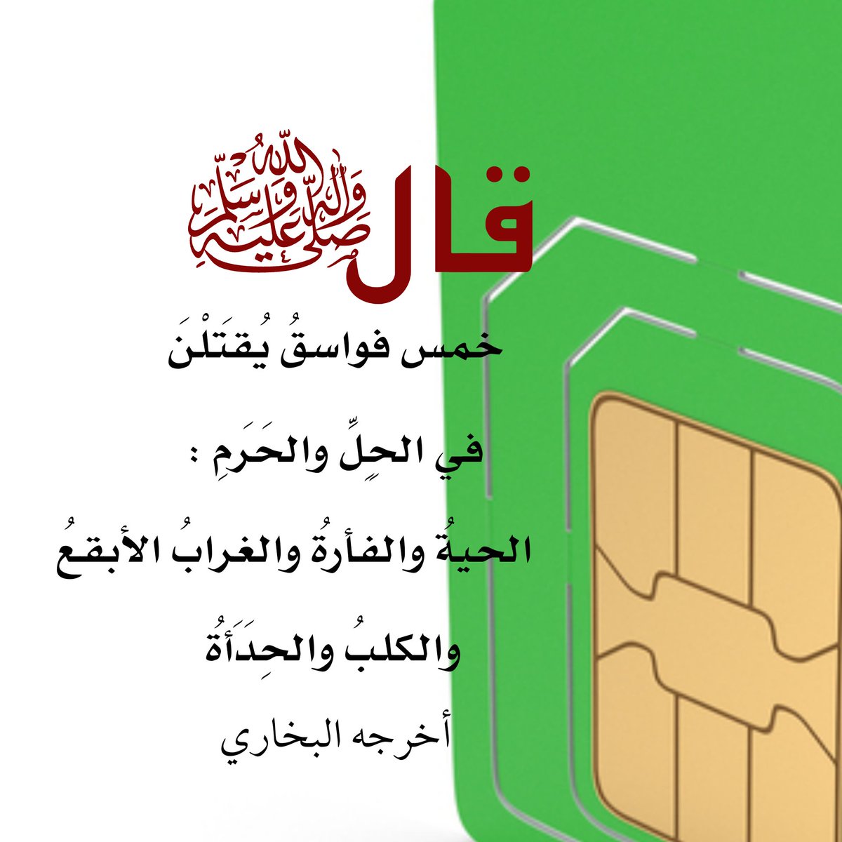 smf5t5's tweet image. null