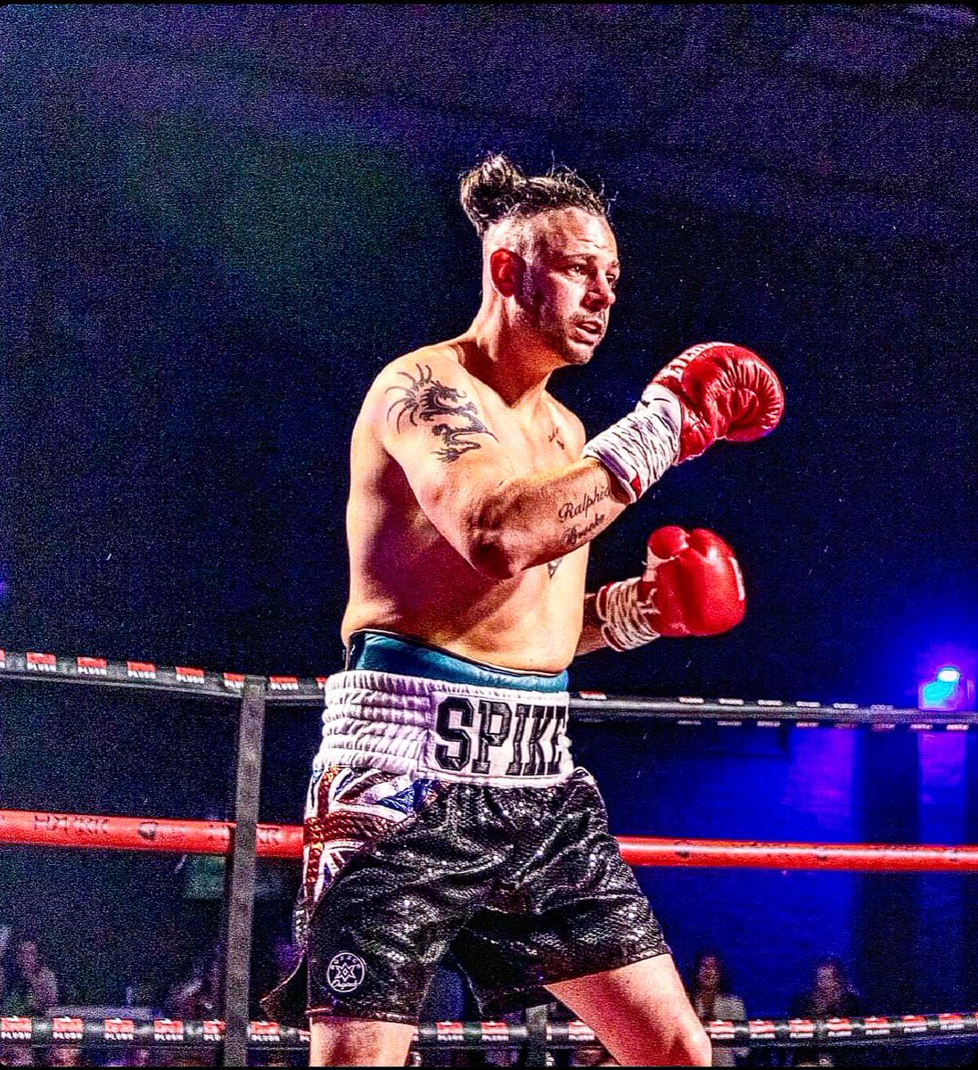 Steven SPIKE THE DOG crame (@thedogspikeuk) on Twitter photo 