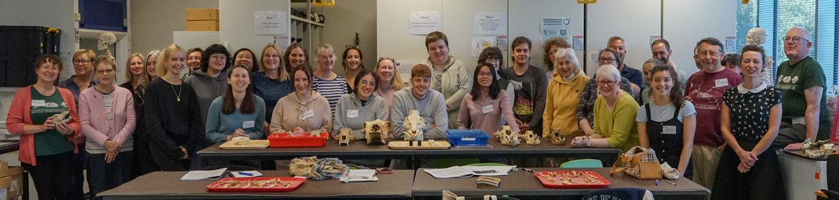 ZooarchLabSheff's tweet image. Our History of the British Fauna short course has been a blast! Congratulations to all participants who contributed to make the three days fun and informative. #SaveSheffieldArchaeology @Phoebeliu @ICAZ_News @ChippingEwan @UniShefArch @UAlbarella