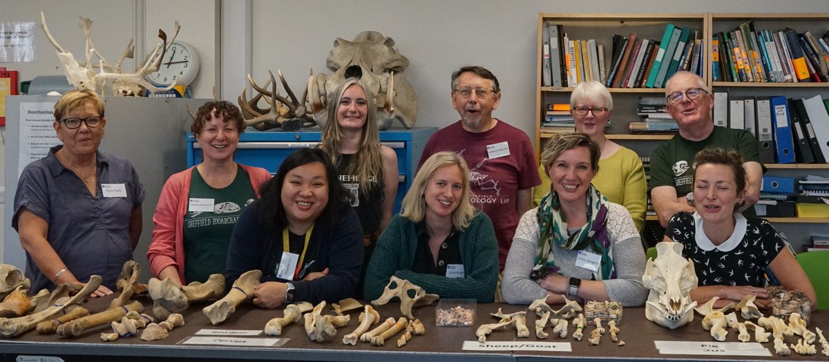 ZooarchLabSheff's tweet image. Our History of the British Fauna short course has been a blast! Congratulations to all participants who contributed to make the three days fun and informative. #SaveSheffieldArchaeology @Phoebeliu @ICAZ_News @ChippingEwan @UniShefArch @UAlbarella