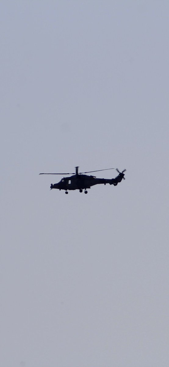 Maritimetom tweet media