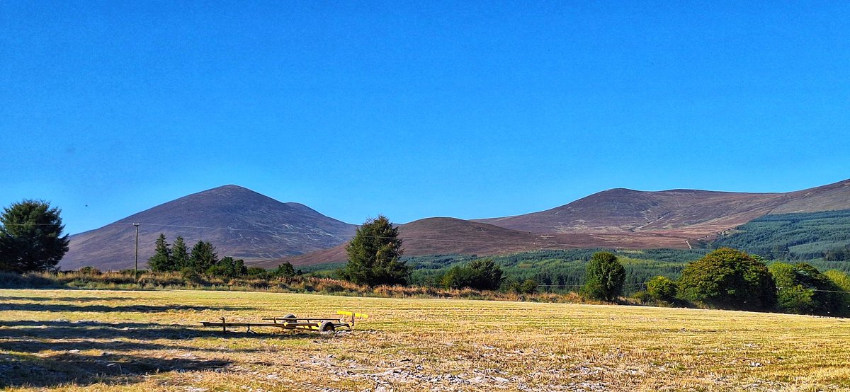 Patrick Kenealy tweet media