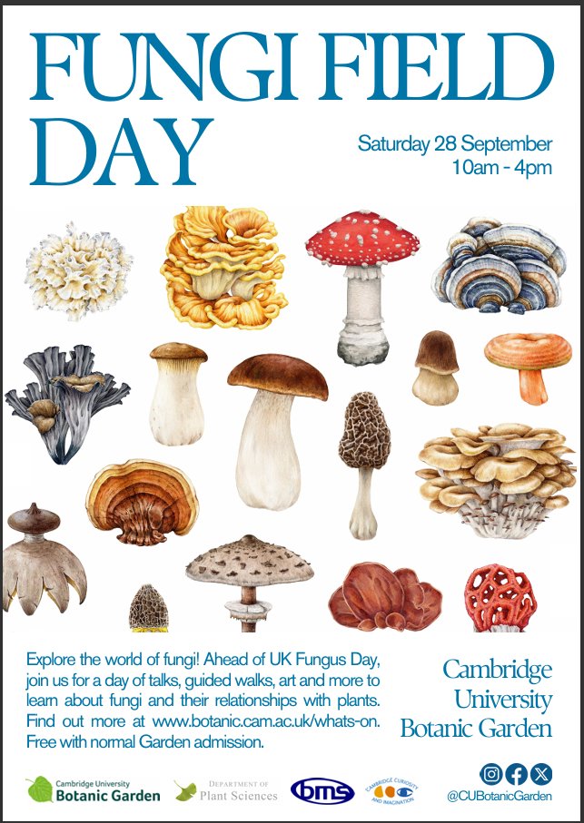 Fancy painting the underground fungal network using  inks made from the natural world? Visit <a href="/CUBotanicGarden/">Cam Botanic Garden</a> for Fungi Field Day on Sept 28. Many of us at the CSC will be there to talk to you. Find out more here cropsciencecentre.org/news/csc-staff… #fungi #Cambridge