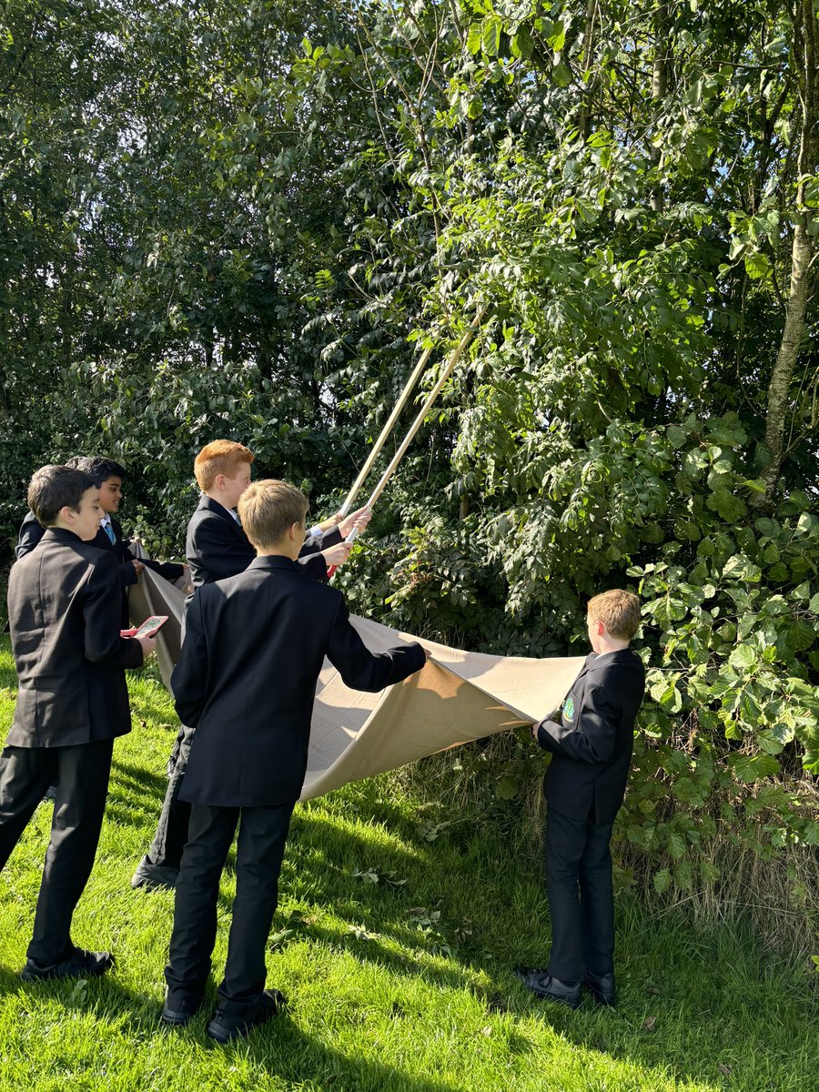 WilliamwoodHS's tweet image. S1 Scientists sampling in the sun! Having a go at tree beating to see what insects we can find #WWHSSCIENCE 🐜🦟🌿🌳
