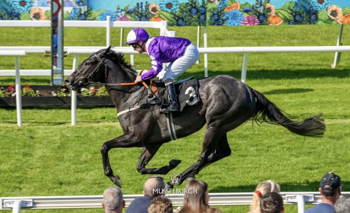 Butterflies starting for Ayr Gold Cup Saturday. Last time we had a dark grey horse, wearing purple colours drawn under the stand rail, things didn’t go too badly!