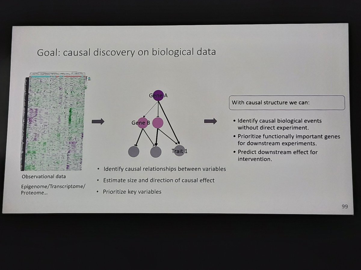 Beatriz García-Jiménez tweet media