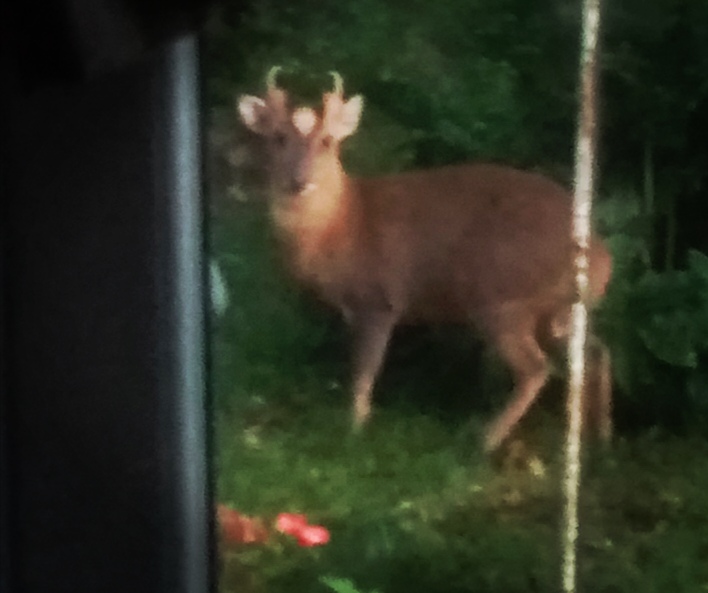 Terry Sherwood tweet media