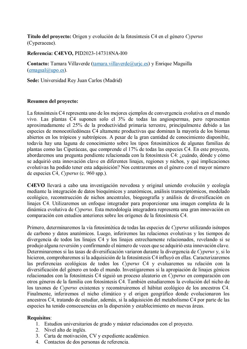 Oferta de #trabajo para realizar la #TesisDoctoral en nuestro departamento con un contrato FPI (se publicarán próximamente) sobre "Origen y evolución de la fotosíntesis C4 en el género Cyperus". Contacto: tamara.villaverde@urjc.es y emagsal@upo.es
<a href="/JovenesBotanica/">Jóvenes por la Botánica Española - JxBE</a> <a href="/kunvoca/">Kunvoca</a>