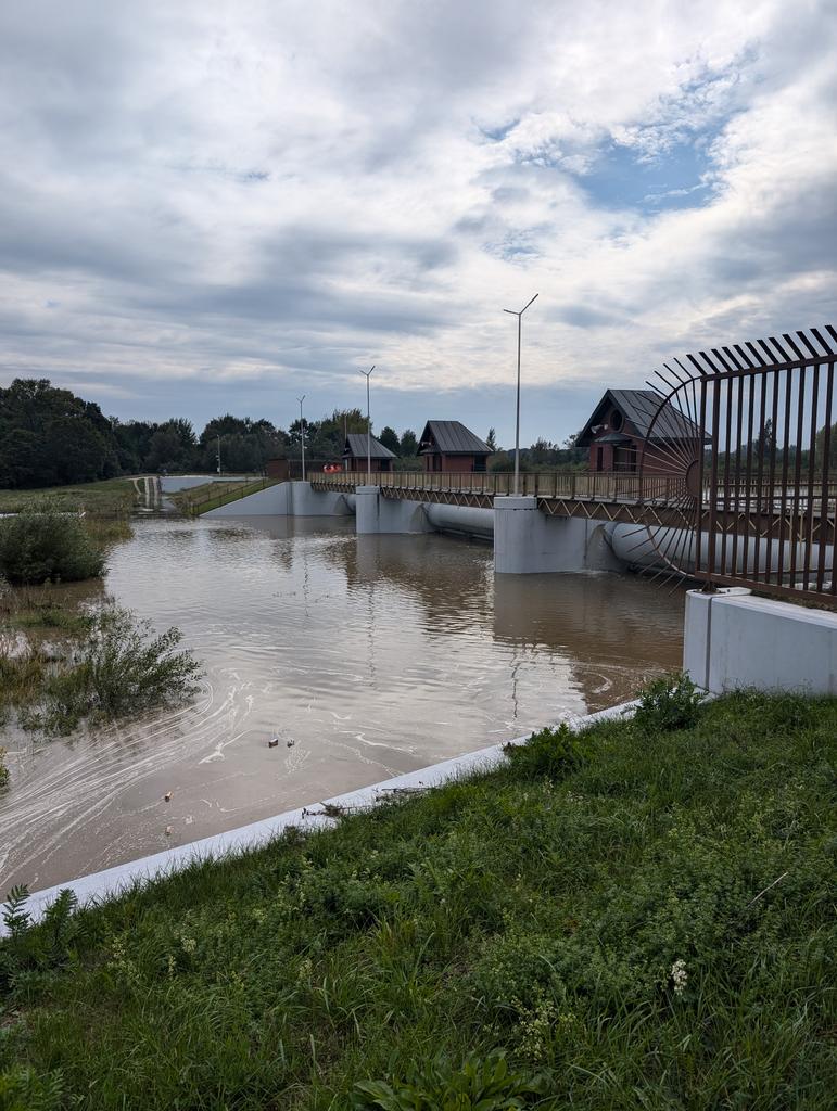 🌐 Short Reports 🌐 tweet media