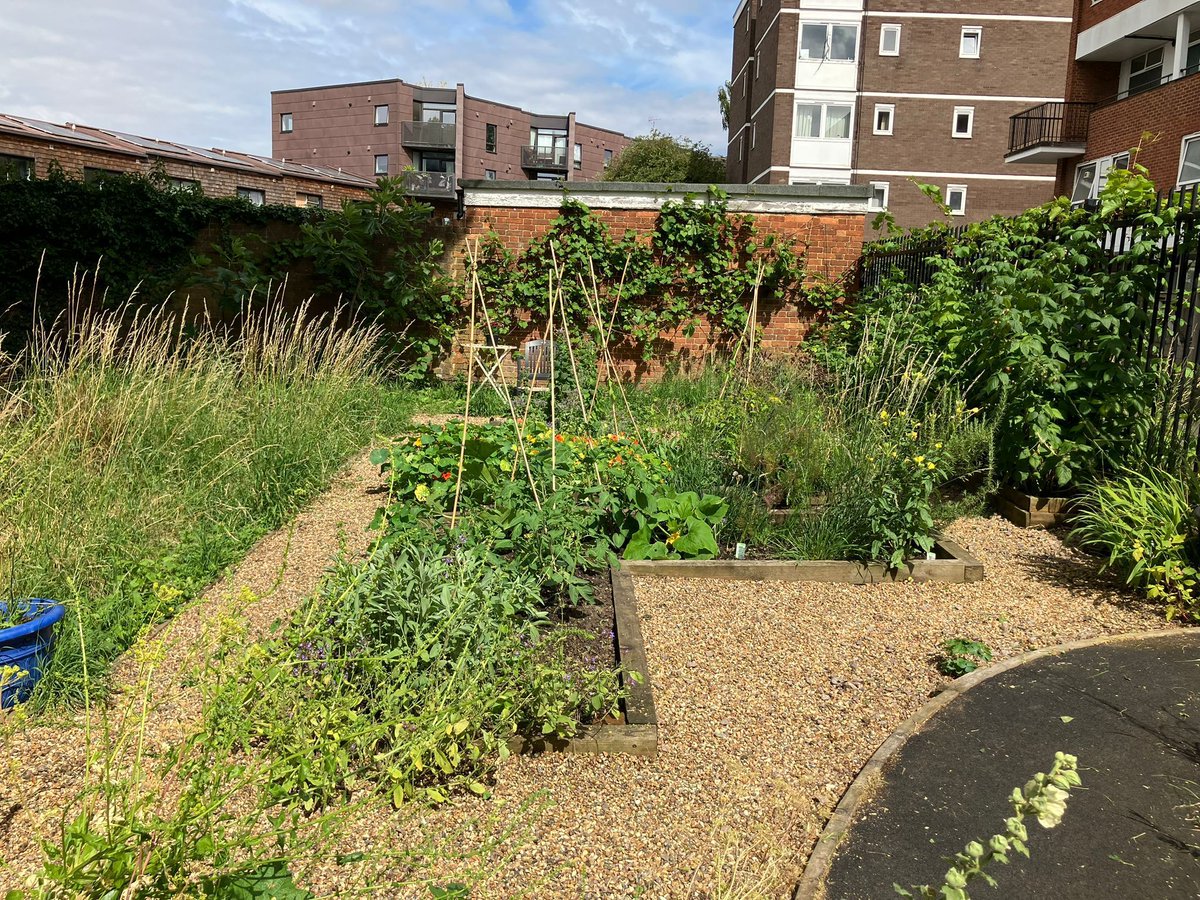 Proud to have won Islington in Bloom's Nancy Pattenden award for Most Wildlife Friendly Garden. Thanks to the Highbury Quadrant TRA, Highbury Councillors, <a href="/IslingtonBC/">Islington Council</a> Partnerships team, our partner <a href="/OctopusCN/">Octopus Community Network</a>, and special shout-out to the residents/members of the Nature Gardens
