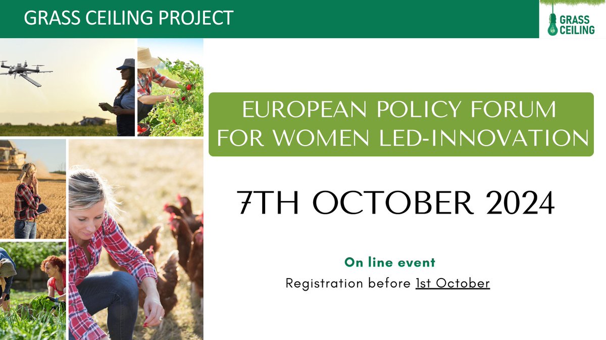 GRASS CEILING Project tweet media