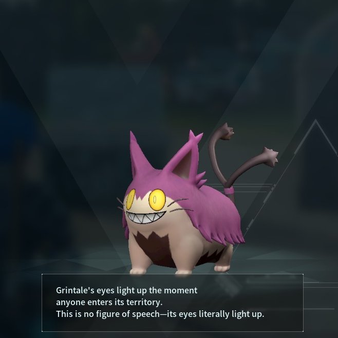 Drue Dannible tweet media