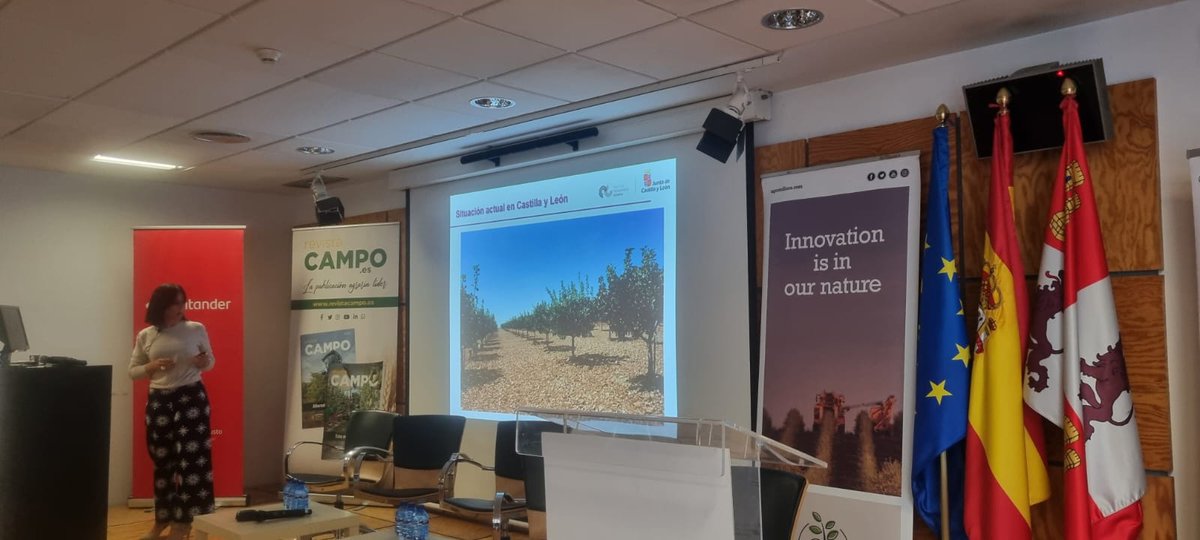 ITACYL's tweet image. Jornada "Cultivos Leñosos en Castilla y León" en el marco del #Demotour de @Agromillora_ con #ITACyL y Revista Campo 
✔️ interés creciente por el cultivo de #FrutosSecos  como el almendro
✔️ importancia del manejo para su optimización 
✔️son cultivos viables y rentables en CyL