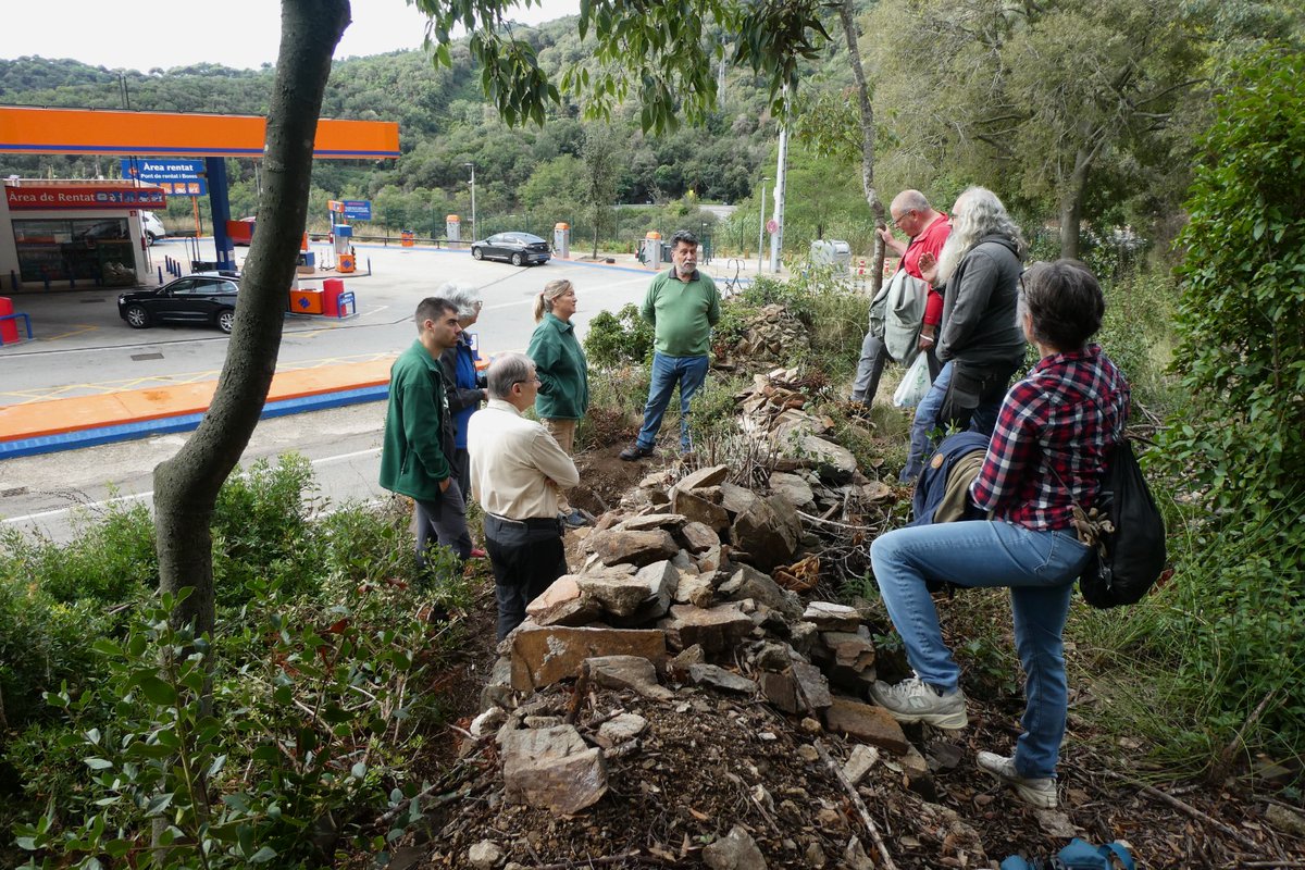 Associació d'amics del monestir de Sant Jeroni de la Vall d'Hebron: Setena Jornada de desbrossament - les evidències -... aamsjvh.blogspot.com/2024/09/setena…