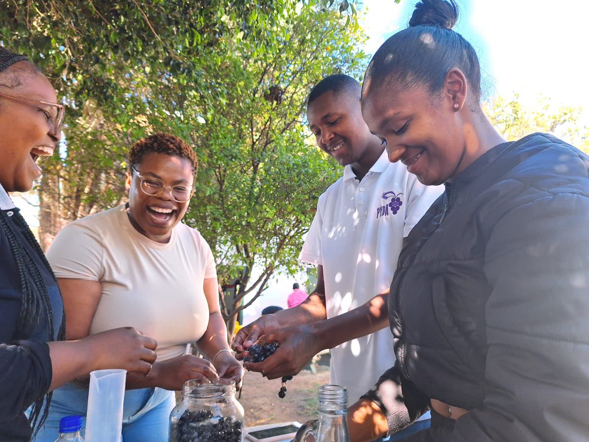 Is #ThrowbackThursday still a thing?😅 Earlier this year, the Wine Practitioner Class of 2024 learnt about the #fermentation process. 🍇

#wine #pyda #skills #youthdevelopment #ThrowbackThursday