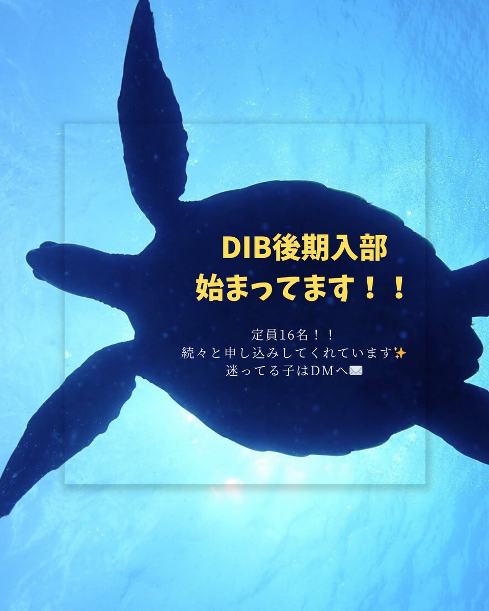 dib_otm's tweet photo. こんにちは！
DIB大手前スキューバダイビングサークルです🐠
ダイビングではたくさんのお魚やサンゴが見られます👀💕

これが叶えられるのも9/30まで‼️
いつでもDMで質問を待ってます〜📢🙌
迷ってる子はいっそげー💨

#DIB #ダイビングサークル #インカレサークル #海好き #魚 #後期入部 https://t.co/hvuM7kFKUA