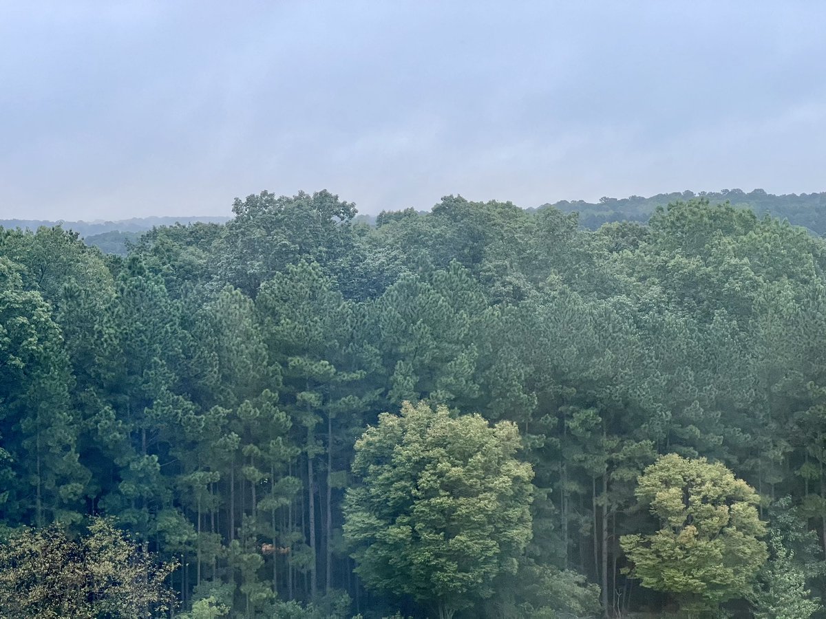 My room with a view. 🥰
