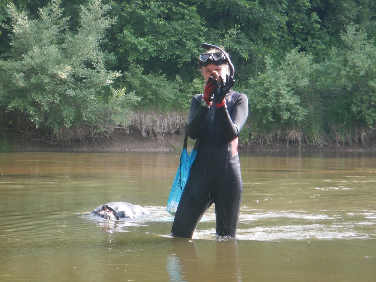 Woolnough Mussel Lab tweet media