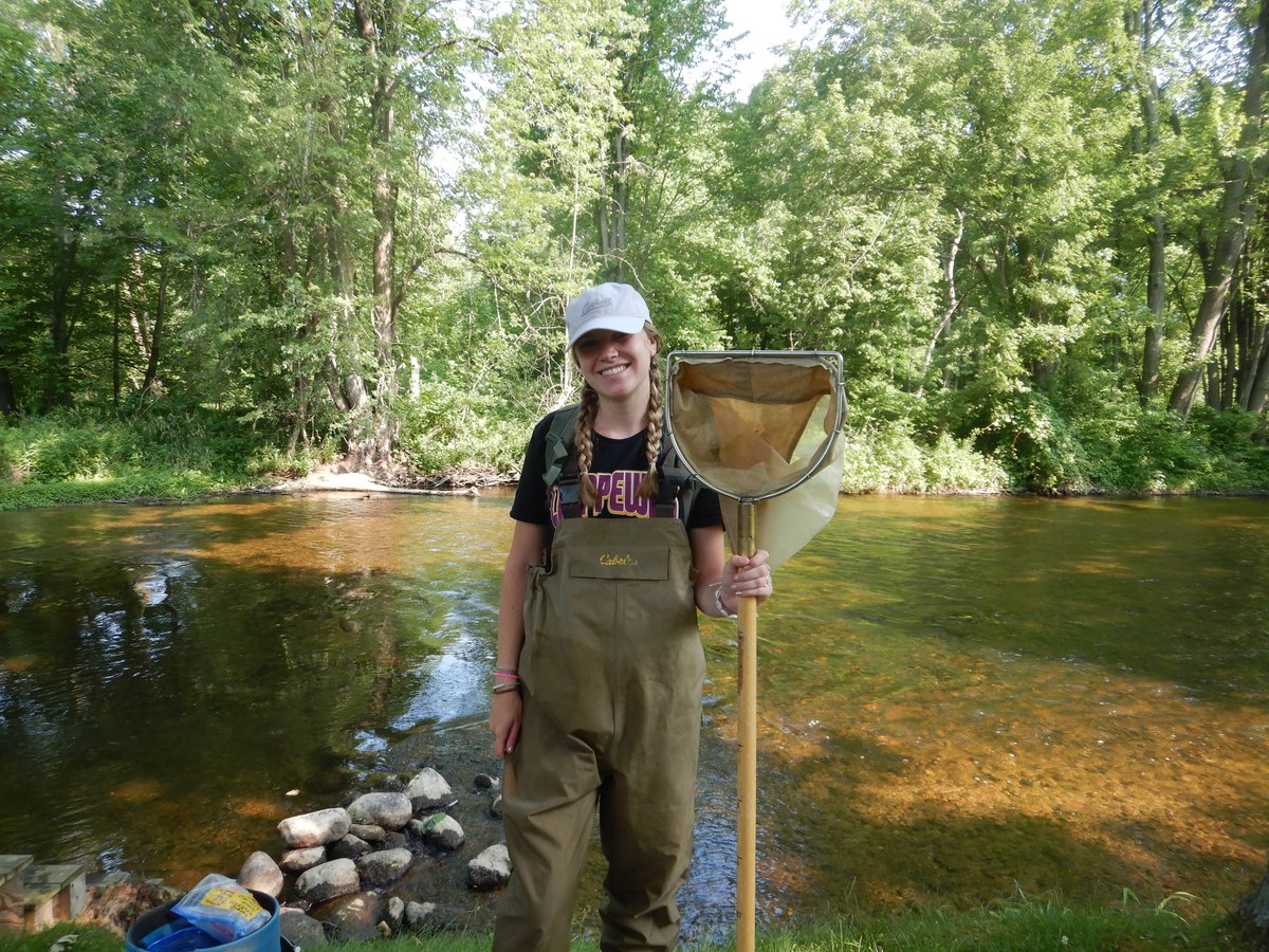 Woolnough Mussel Lab tweet media