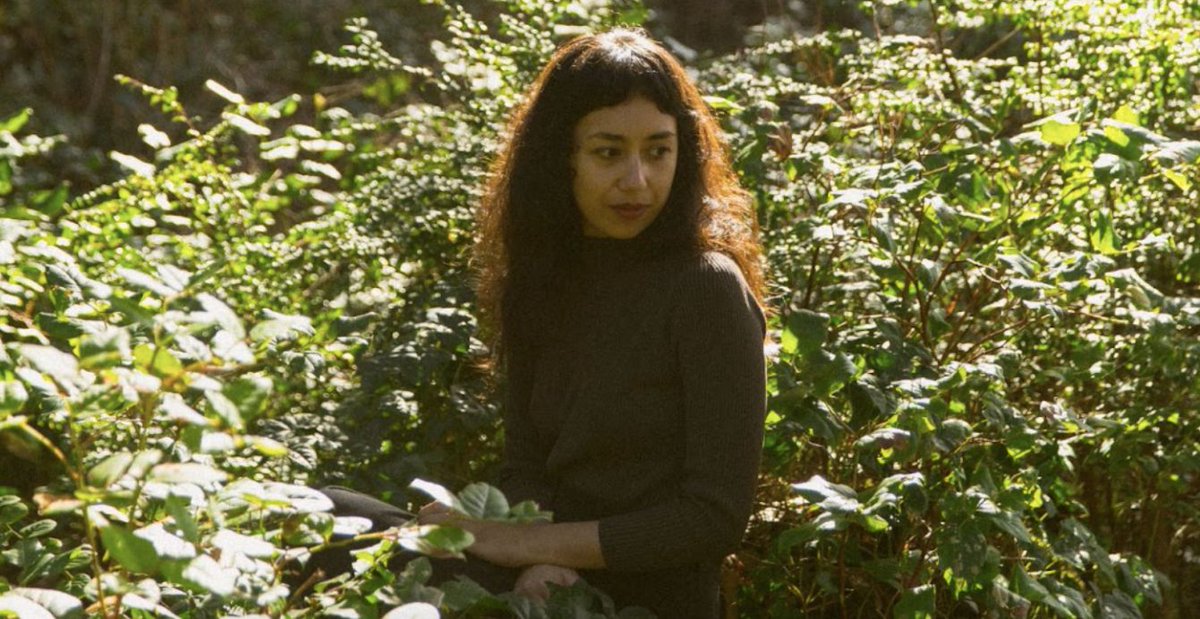 THE LINE of BEST FIT (@bestfitmusic) on Twitter photo Haley Heynderickx (<a href="/hhhendrixx/">Haley Heynderickx</a>) announces forthcoming album, Seed of a Seed, as the follow-up to the 2018 debut, I Need to Start a Garden buff.ly/3XzkB17 Haley Heynderickx (<a href="/hhhendrixx/">Haley Heynderickx</a>) announces forthcoming album, Seed of a Seed, as the follow-up to the 2018 debut, I Need to Start a Garden buff.ly/3XzkB17