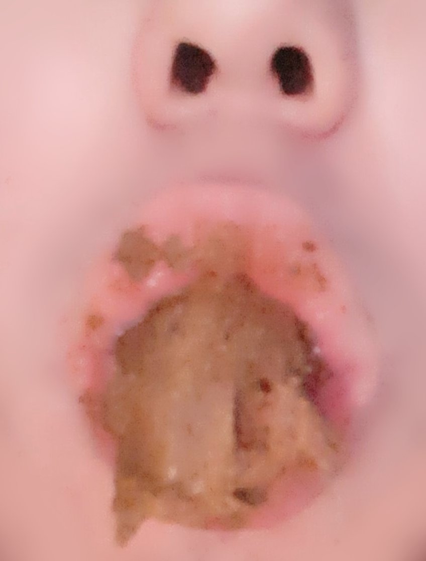 Yesterday's loot, and chewing😋💩