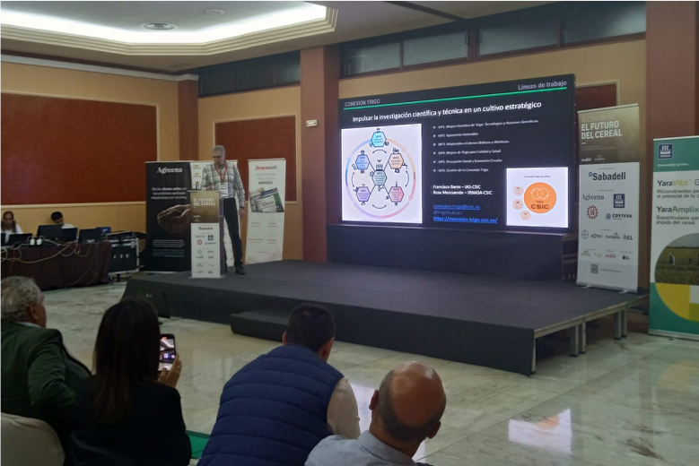 TrigoHubCSIC's tweet photo. Francisco Barro, @IAS_CSIC @FBarrosLab, durante su intervención en el XI Congreso "El futuro del cereal" organizado por Interempresas y Agropal Grupo Alimentario
#ConexionesCSIC #Trigo #WheatNet https://t.co/xIn8MCI1xM